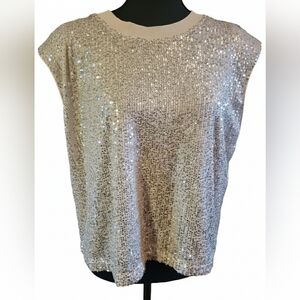 Skies Are Blue Silver Sequin Blouse